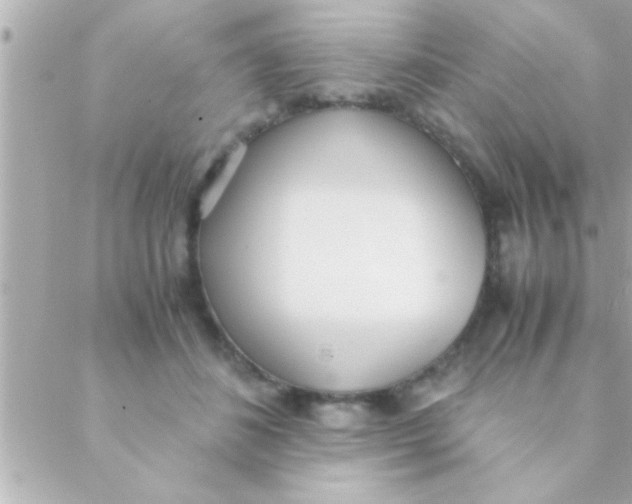 X0000088640508200706151946