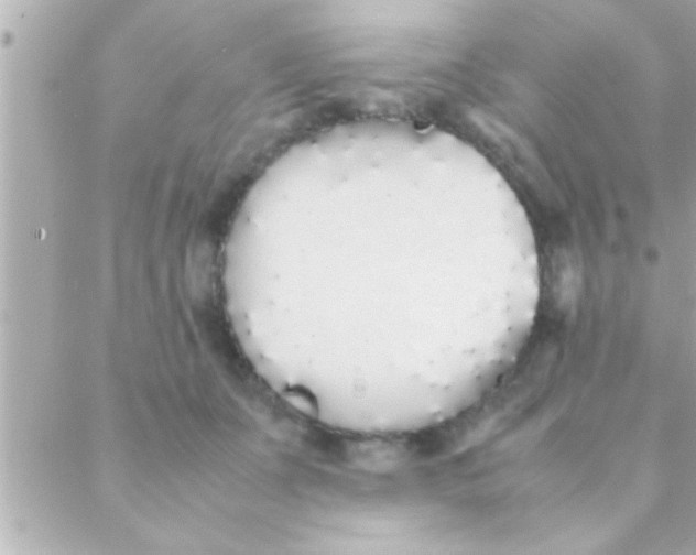 X0000088640511200706151946