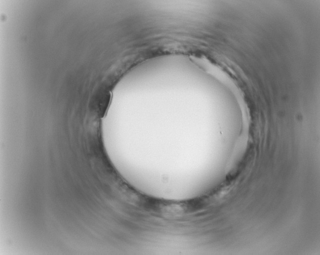 X0000088640513200706151946