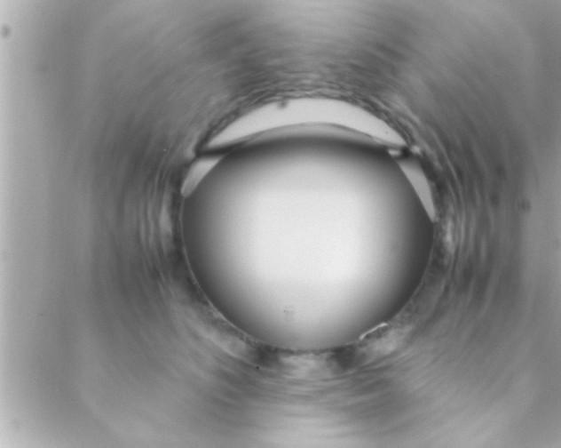 X0000088640516200706151945