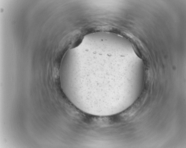 X0000088640517200706151945