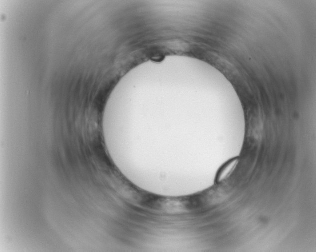 X0000088640518200706151945