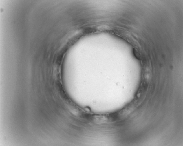 X0000088640519200706151945