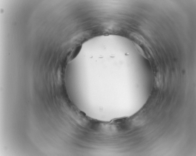 X0000088640520200706151945