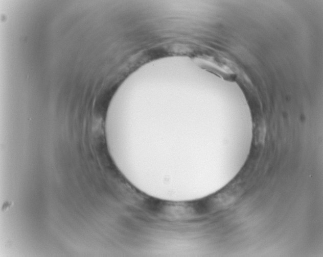 X0000088640521200706151945