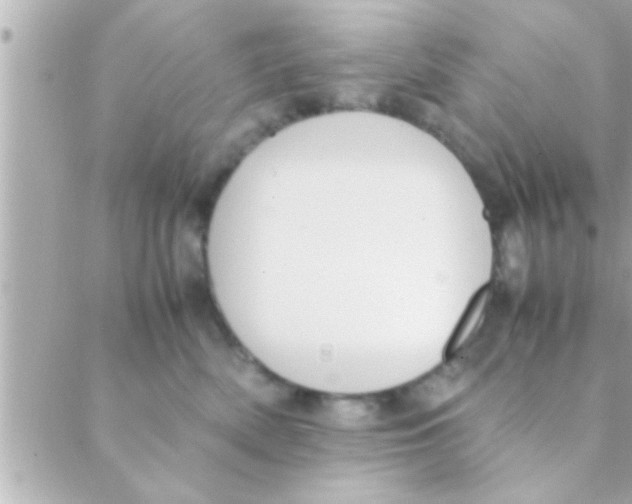 X0000088640522200706151945