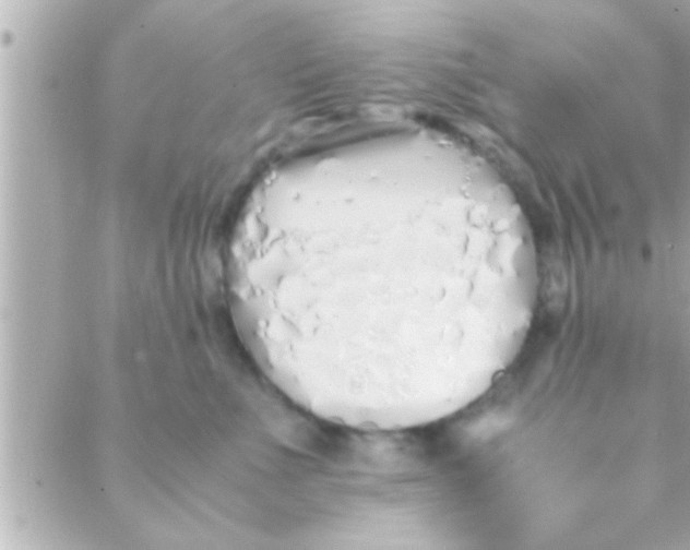 X0000088640523200706151945