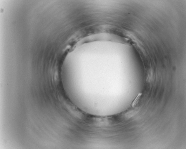 X0000088640524200706151945