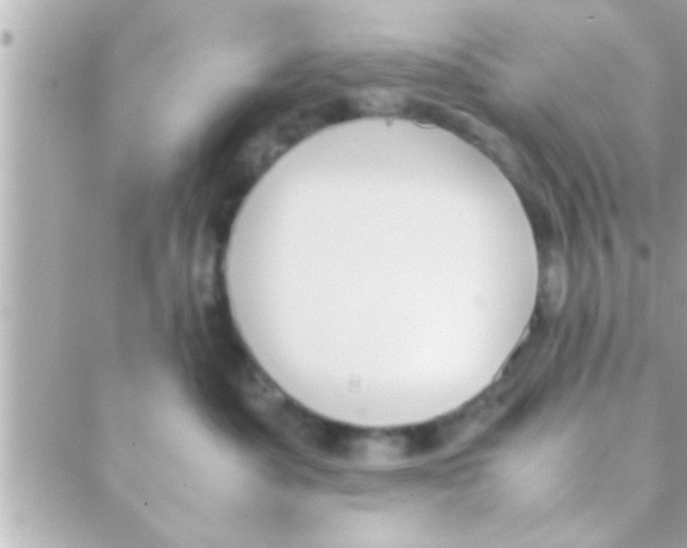 X0000088640525200706151945