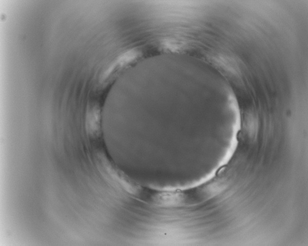 X0000088640526200706151945