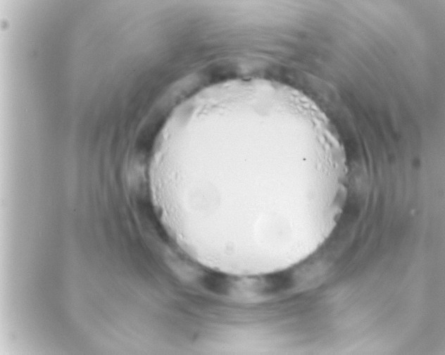 X0000088640527200706151945