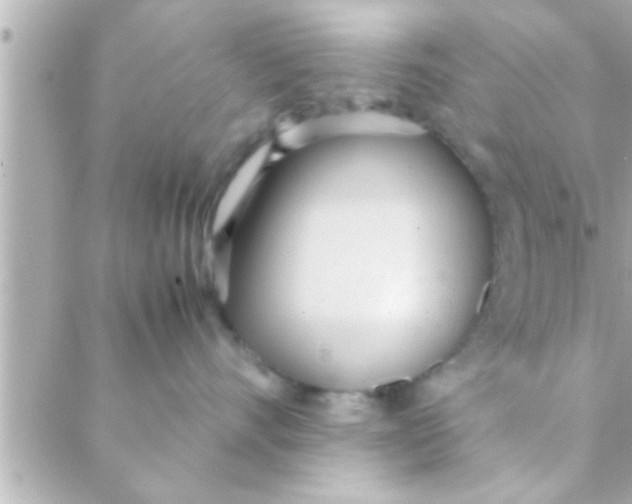 X0000088640528200706151945