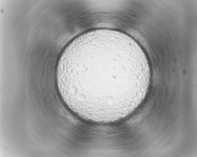 X0000088640529200706151945