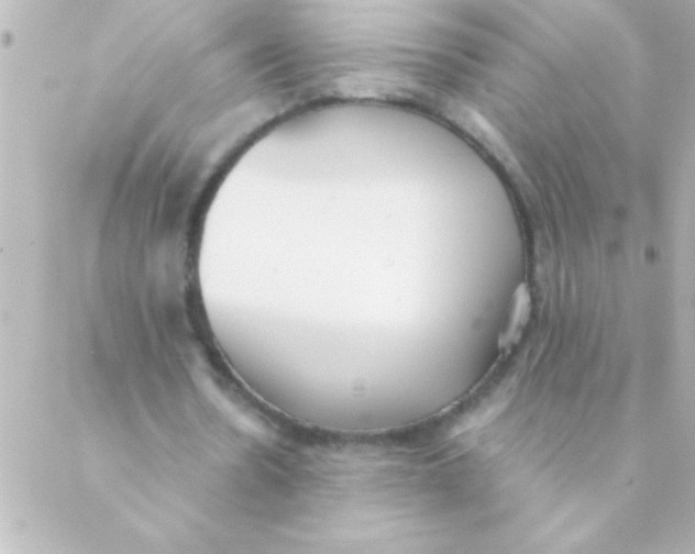 X0000088640530200706151945