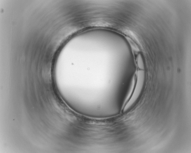 X0000088640531200706151945