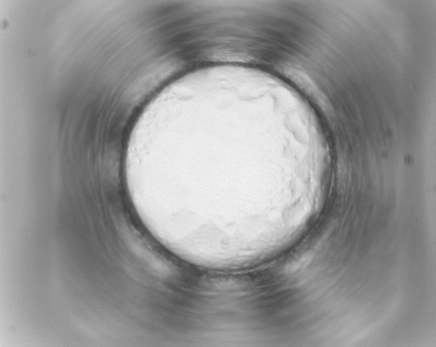 X0000088640533200706151945