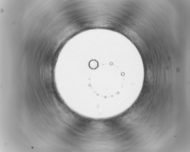 X0000088640534200706151945