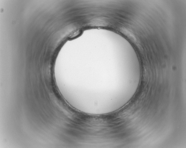 X0000088640535200706151945