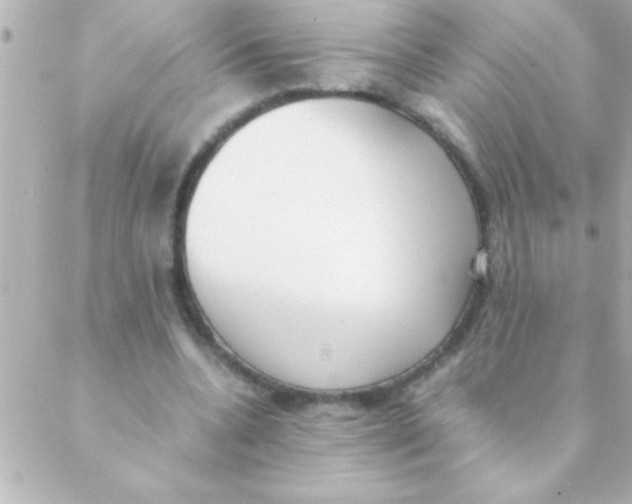 X0000088640536200706151945