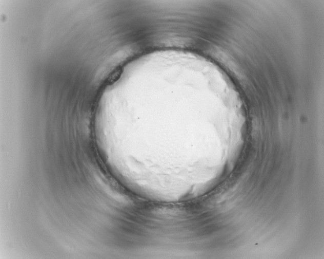 X0000088640537200706151945