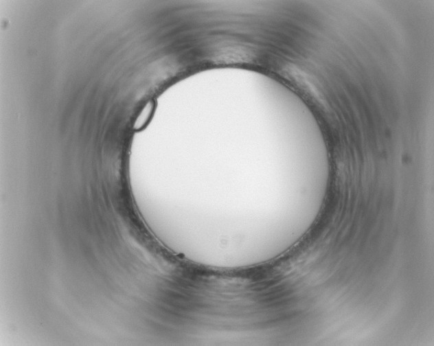 X0000088640539200706151945