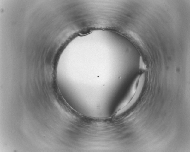 X0000088640540200706151945