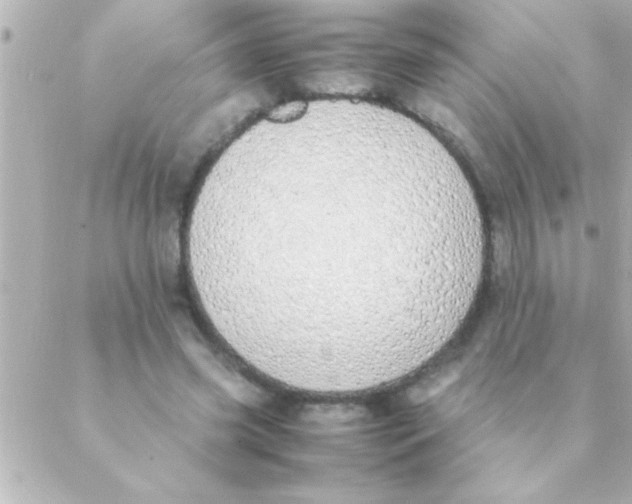 X0000088640541200706151945