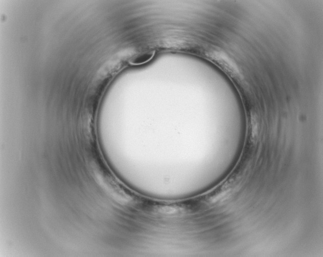 X0000088640542200706151945