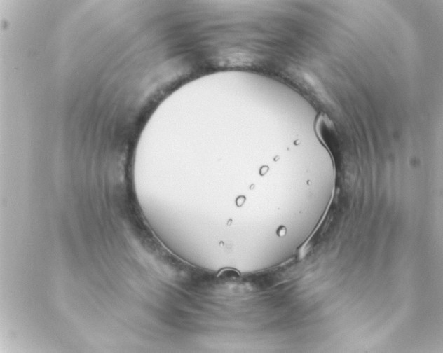 X0000088640543200706151945