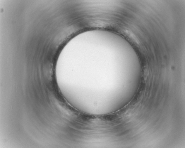 X0000088640544200706151945