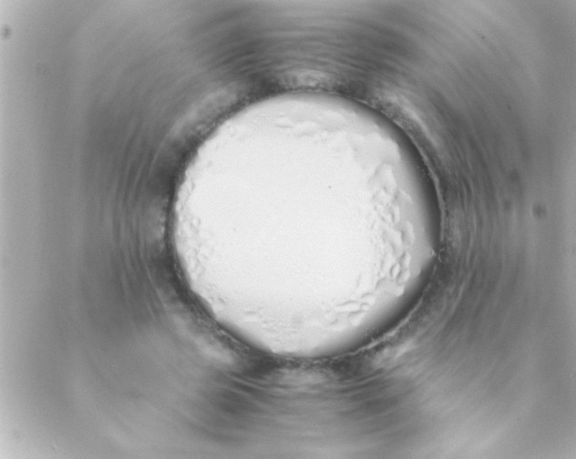 X0000088640545200706151945