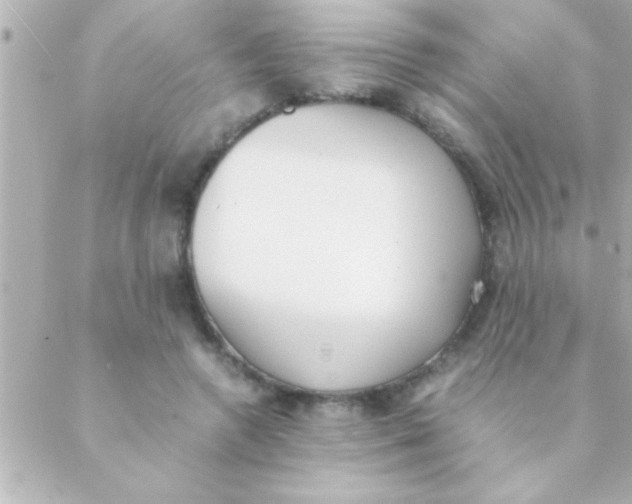 X0000088640546200706151945