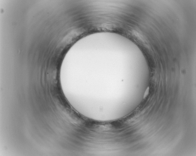 X0000088640548200706151945