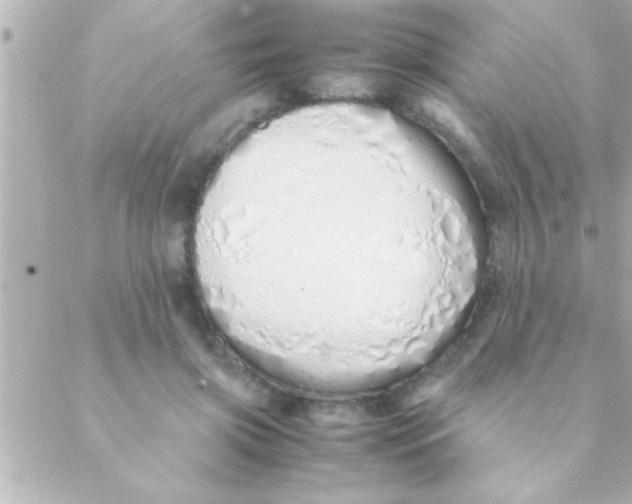 X0000088640549200706151945