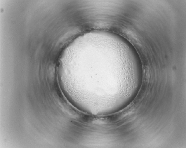 X0000088640550200706151945