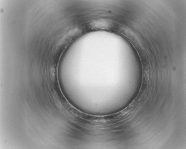 X0000088640551200706151945