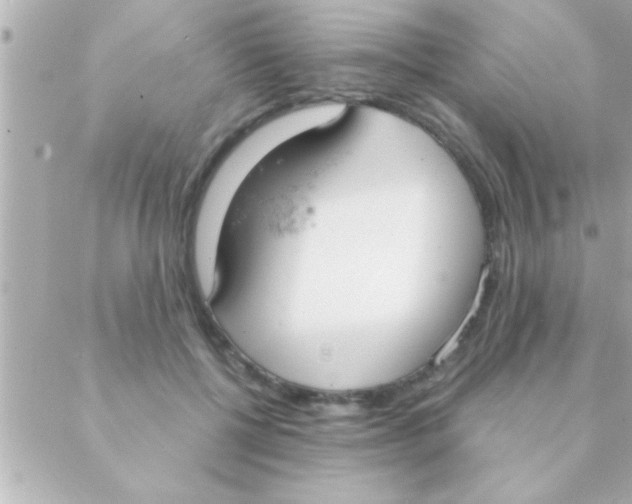 X0000088640552200706151945