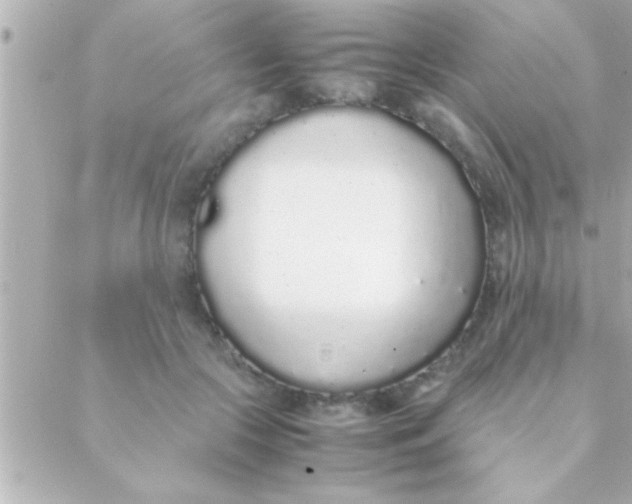 X0000088640553200706151945