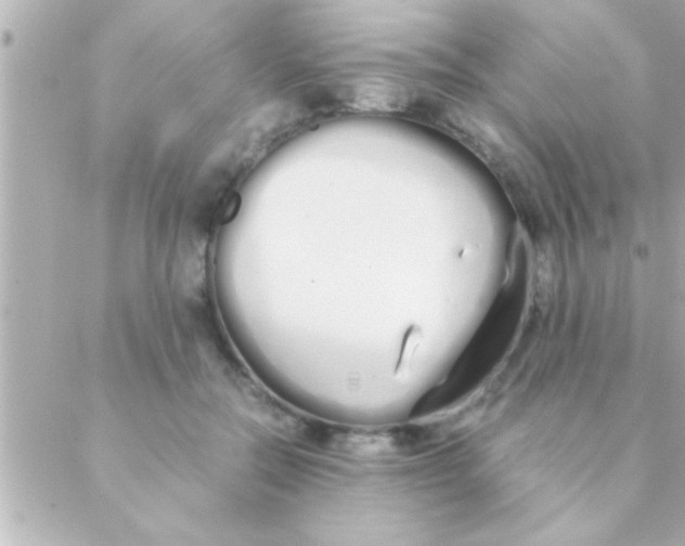 X0000088640554200706151945