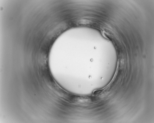 X0000088640555200706151945