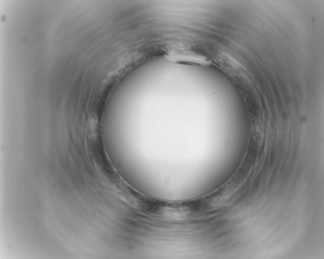 X0000088640556200706151945