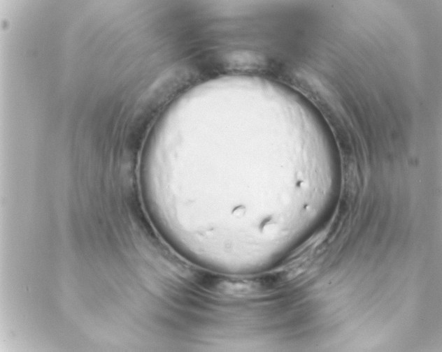 X0000088640557200706151945