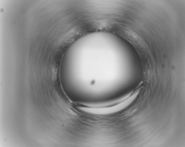 X0000088640558200706151945