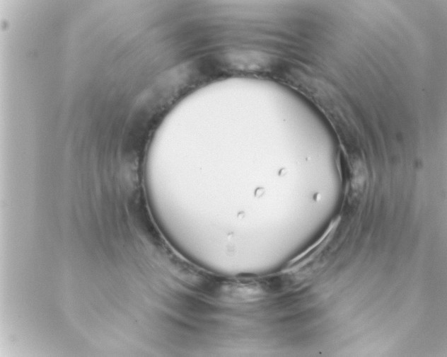 X0000088640559200706151945