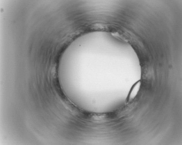 X0000088640560200706151945