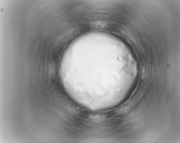 X0000088640561200706151945