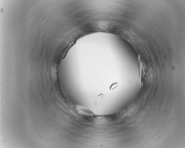 X0000088640562200706151945