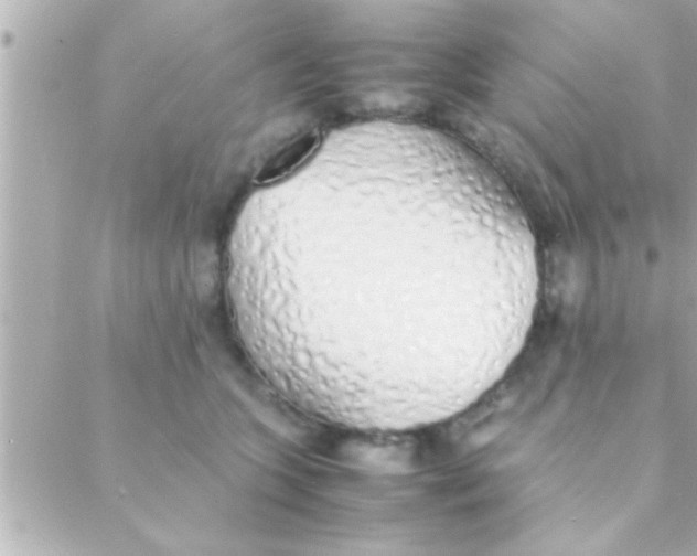 X0000088640563200706151945