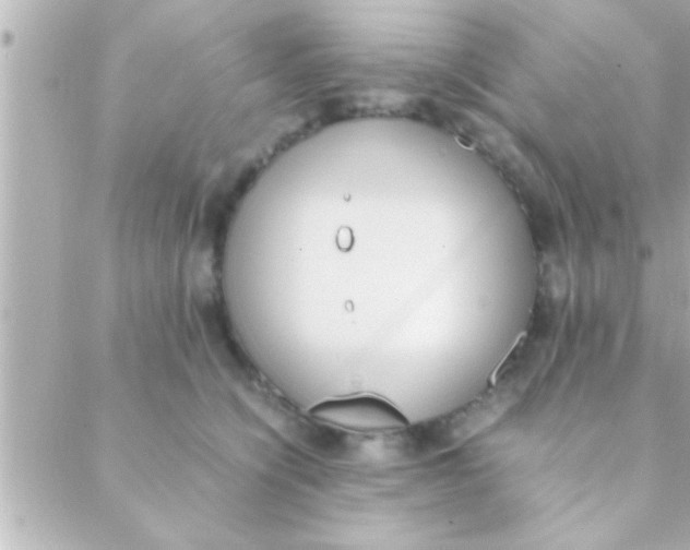 X0000088640564200706151945