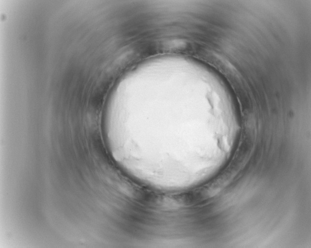 X0000088640565200706151945